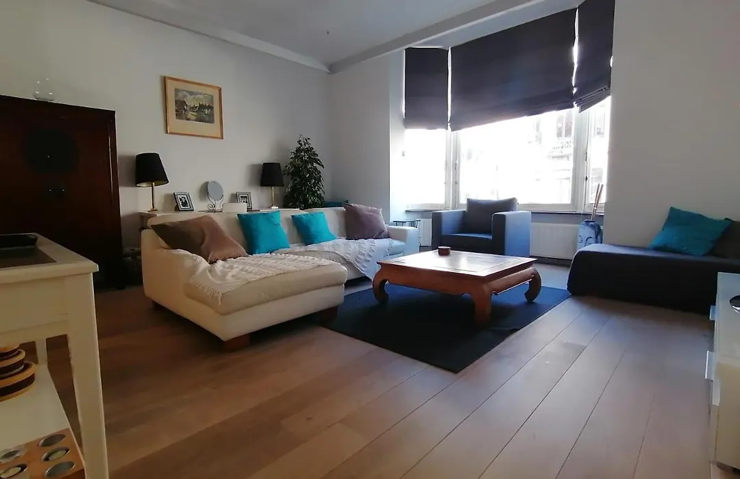 Brugmann Loft Apartment-1