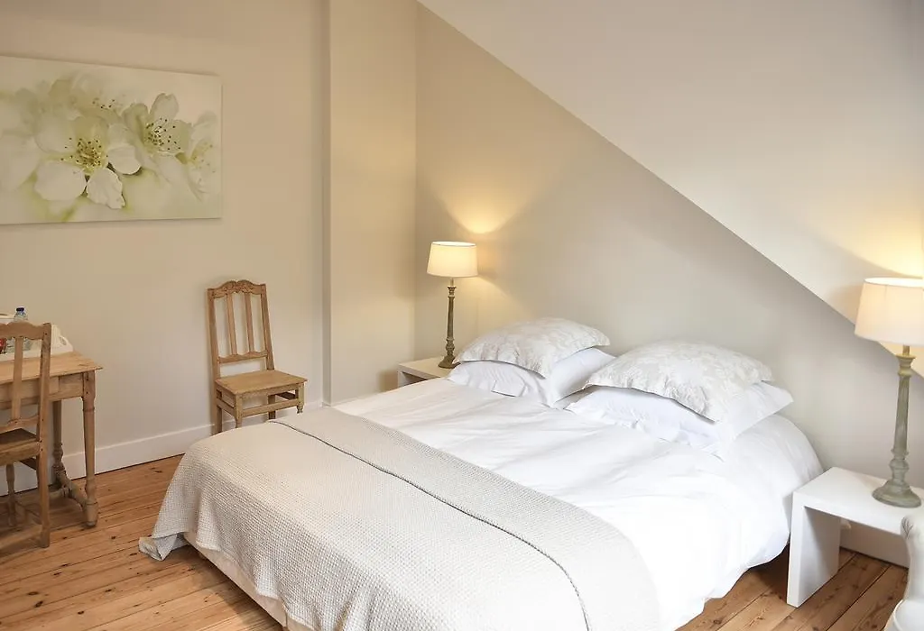 B&B Salve-1