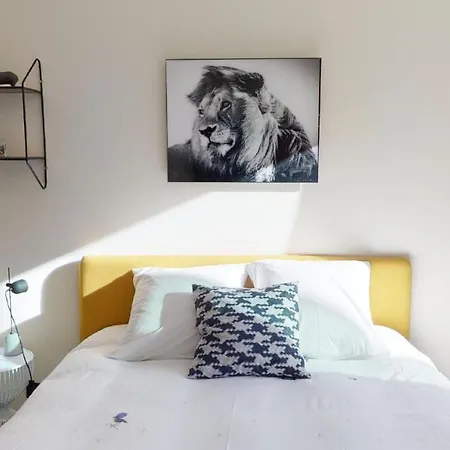 Suite Lumineuse A Saint-Gilles-3