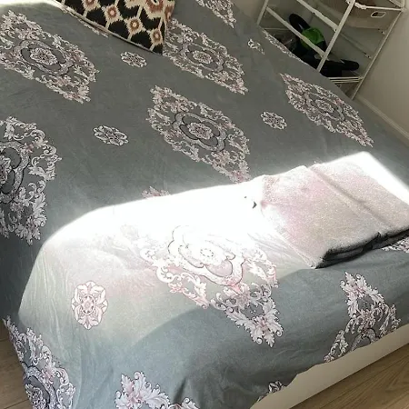 Best Nest-2