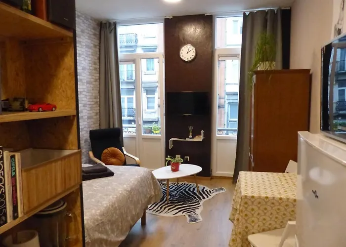 Huisdiervriedelijke Superbe Studio Au 1Er Etage, Proche De La Gare Du Midi Brussel