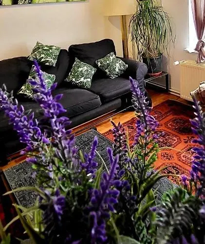 Bright Studio Close To Zaventem Airport Bruxelles che accetta animali