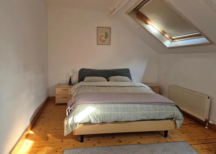 Appartement La Bourse Bruxelles che accetta animali